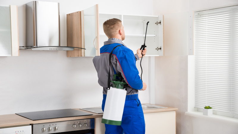 Choose a Reliable Company Providing Professional Pest Control in Rockford